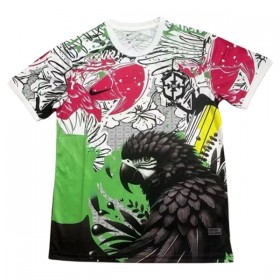 Camiseta de fútbol Brasil x Parrot 2025