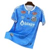Camiseta de fútbol Santos FC Dragon 2025-26 Azul