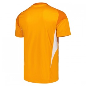 Camiseta de fútbol Leeds United Portero 2025-26