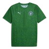 Camiseta de fútbol Manchester City Pre-Match 2025-26 Verde