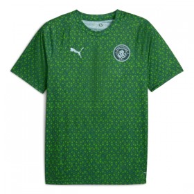 Camiseta de fútbol Manchester City Pre-Match 2025-26 Verde