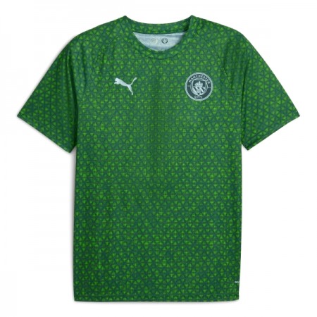 Camiseta de fútbol Manchester City Pre-Match 2025-26 Verde