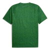Camiseta de fútbol Manchester City Pre-Match 2025-26 Verde