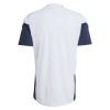 Argentina Copa Mundial 2026 Camiseta De Entrenamiento Blanca