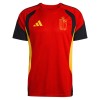 Bélgica Niño Copa Mundial 2026 Camiseta De Entrenamiento Roja