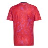 Camiseta de fútbol Costa Rica 1ª equipación Copa Mundial 2026