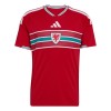 Camiseta de fútbol Gales 1ª equipación Copa Mundial 2026