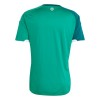 Camiseta de fútbol Irlanda Del Norte 1ª equipación Copa Mundial 2026