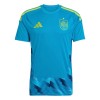 Camiseta de fútbol España Portero Copa Mundial 2026