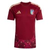 Camiseta de fútbol Italia Portero 1ª equipación Copa Mundial 2026 Roja Camiseta de fútbol Italia Portero 1ª equipación Copa Mundial 2026 Roja