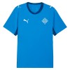 Camiseta de fútbol Islandia 1ª equipación Copa Mundial 2026 Camiseta de fútbol Islandia 1ª equipación Copa Mundial 2026