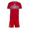 Camiseta de fútbol Gales Niño 1ª equipación Copa Mundial 2026 Camiseta de fútbol Gales Niño 1ª equipación Copa Mundial 2026