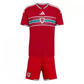 Camiseta de fútbol Gales Niño 1ª equipación Copa Mundial 2026