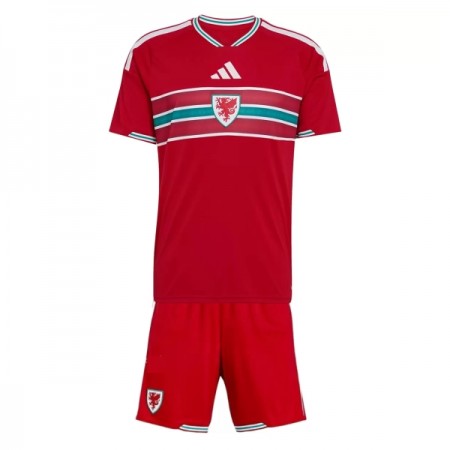 Camiseta de fútbol Gales Niño 1ª equipación Copa Mundial 2026 Camiseta de fútbol Gales Niño 1ª equipación Copa Mundial 2026