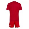 Camiseta de fútbol Gales Niño 1ª equipación Copa Mundial 2026