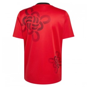 Camiseta de fútbol Manchester United Chinese Lucky Knot 2026