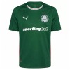 Camiseta de fútbol Palmeiras 1ª equipación 2026-27