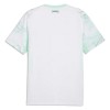Camiseta de fútbol Austria 2ª equipación Copa Mundial 2026