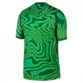 Camiseta de fútbol Brasil Portero 1ª equipación Copa Mundial 2026 Verde