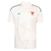 Camiseta de fútbol Gales 2ª equipación Copa Mundial 2026