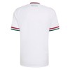 Camiseta de fútbol Hungría 2ª equipación Copa Mundial 2026