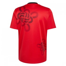 Camiseta de fútbol Manchester United Cultural Story 2025-26