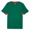 Camiseta de fútbol Senegal 2ª equipación Copa Mundial 2026