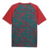 Camiseta de fútbol Portugal Pre-Match Copa Mundial 2026 Roja