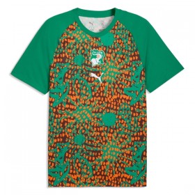 Camiseta de fútbol Costa De Marfil Pre-Match Copa Mundial 2026