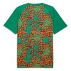 Camiseta de fútbol Costa De Marfil Pre-Match Copa Mundial 2026