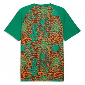 Camiseta de fútbol Costa De Marfil Pre-Match Copa Mundial 2026