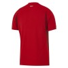Camiseta de fútbol Turquía Niño 1ª equipación Copa Mundial 2026