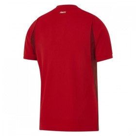 Camiseta de fútbol Turquía Niño 1ª equipación Copa Mundial 2026