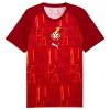 Camiseta de fútbol Ghana Pre-Match Copa Mundial 2026