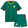 Camiseta de fútbol Senegal Niño 2ª equipación Copa Mundial 2026