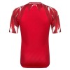 Camiseta de fútbol Túnez 2ª equipación Copa Mundial 2026