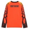Camiseta de fútbol Borussia Dortmund Portero 1ª equipación 2026-27 Naranja Manga Larga