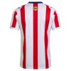 Camiseta de fútbol Chivas de CD Guadalajara 120th Anniversary 2025-26