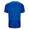 Camiseta de fútbol Brighton Hove Albion 1ª equipación 2026-27