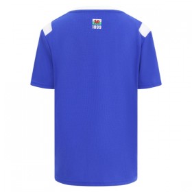 Camiseta de fútbol Cardiff City 1ª equipación 2026-27