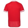 Camiseta de fútbol FC Köln 2ª equipación 2026-27