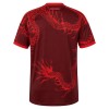 Camiseta de fútbol Internacional 3ª equipación 2026-27