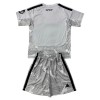 Camiseta de fútbol Real Madrid Portero Niño 2026-27 Gris