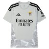Camiseta de fútbol Benfica Portero 2026-27 Gris Camiseta de fútbol Benfica Portero 2026-27 Gris