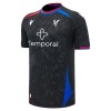 Camiseta de fútbol Crystal Palace 2ª equipación 2026-27
